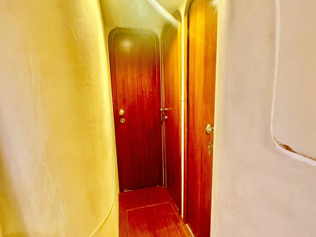 Untitled design (13)