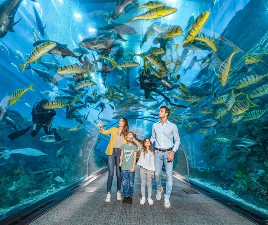 dubai aquarium