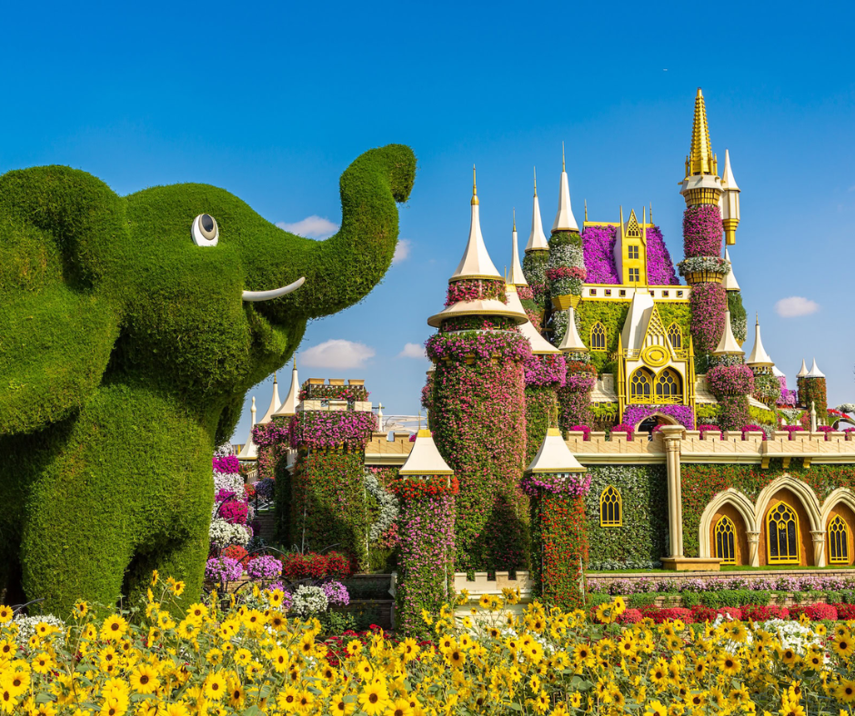 miracle garden Dubai