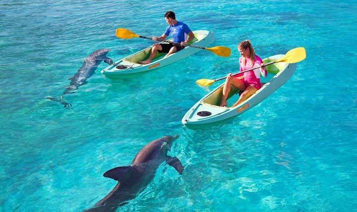 dolphin kayak dubai